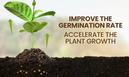 Soil Activator: Plants' Best Friend - Rejuvenate Your Plants ( BUY 1 GET 1 FREE )